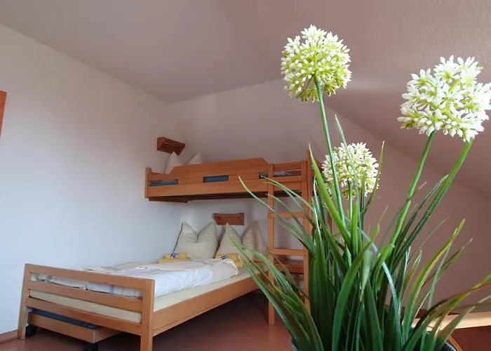 Hostel Jugendherberge Fehmarn *